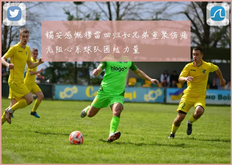 锡安感慨穆雷回归如兄弟重聚伤痛无阻心系球队团结力量